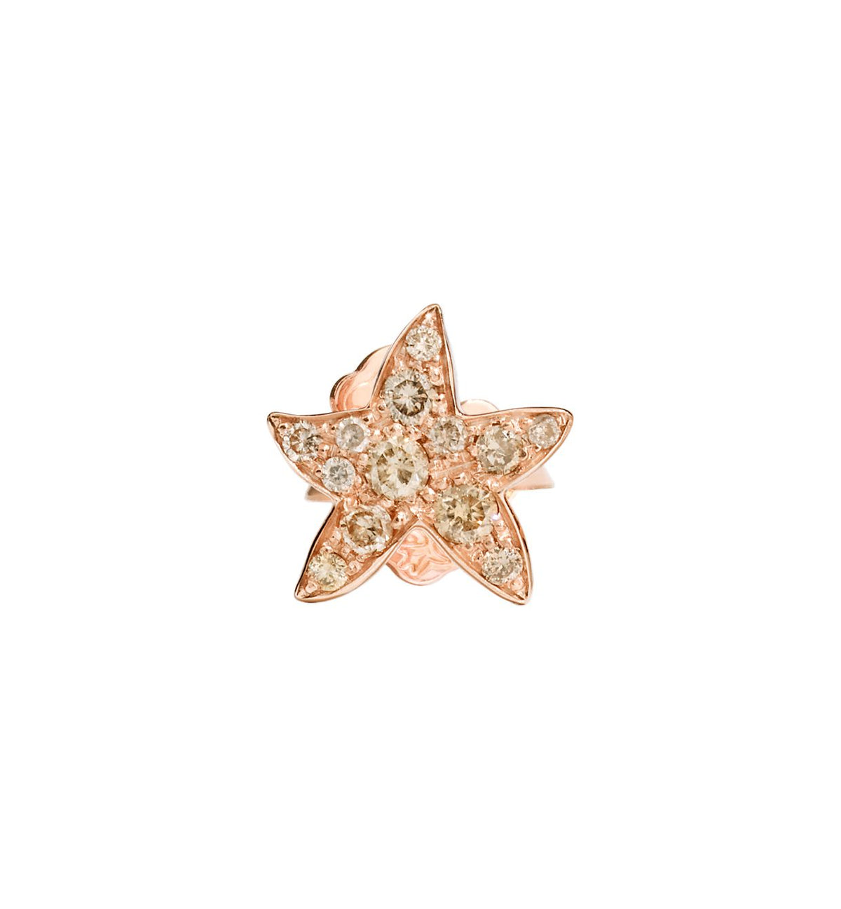 Dodo Starfish Earrings in 9k Rose Gold and Brown Diamonds - Orsini Jewellers NZ