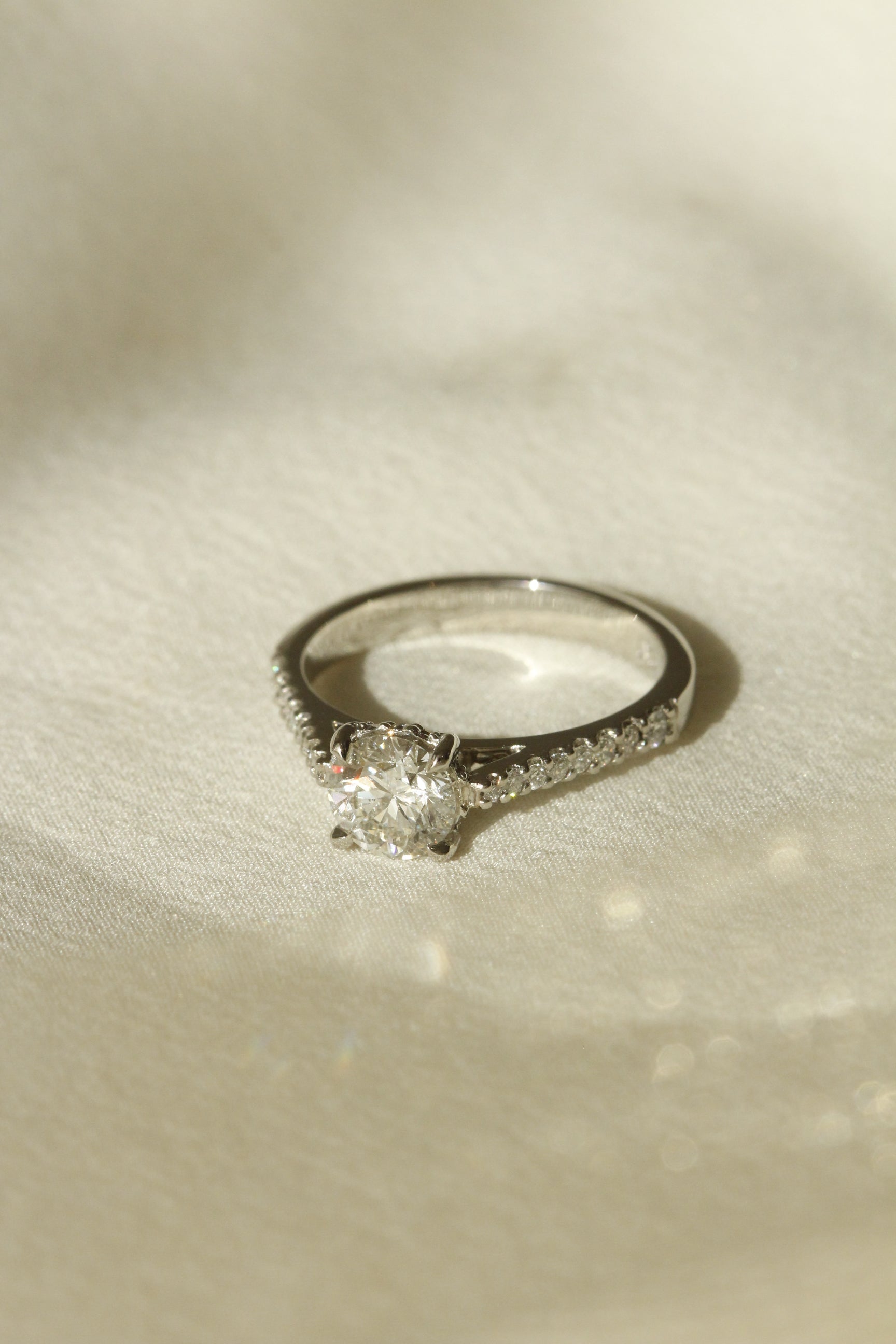 Solitaire engagement ring in 18k white gold with diamonds on side of band Bernini setting by Orsini Fine Jewellery