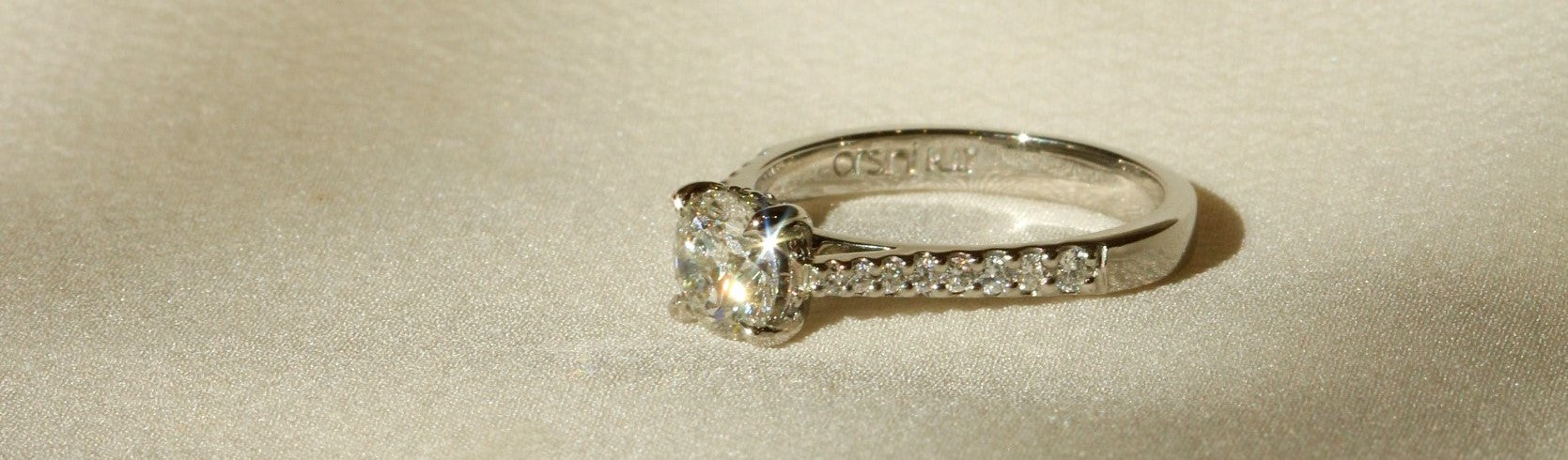 Round diamonds with ring band covered in diamonds engagement ring white gold Bernini setting banner image