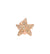 Dodo Starfish Earrings in 9k Rose Gold and Brown Diamonds - Orsini Jewellers NZ
