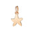 DoDo Star in 9k Rose Gold - Orsini Jewellers NZ